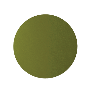 P50Olive-05