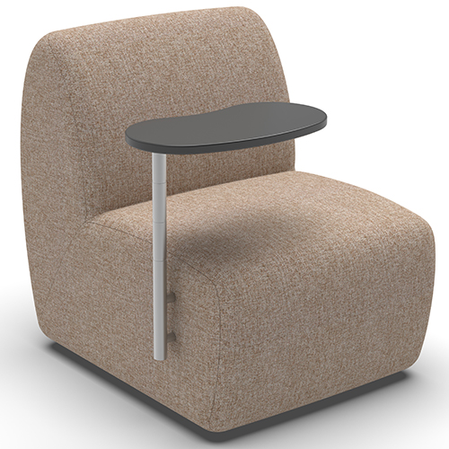 Options_TelescopingTabletArm